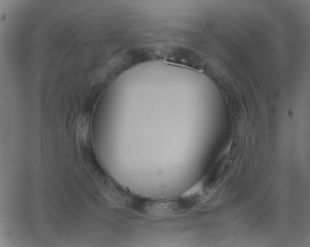 X0000067870129200604271745