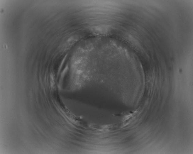 X0000067870130200604271745