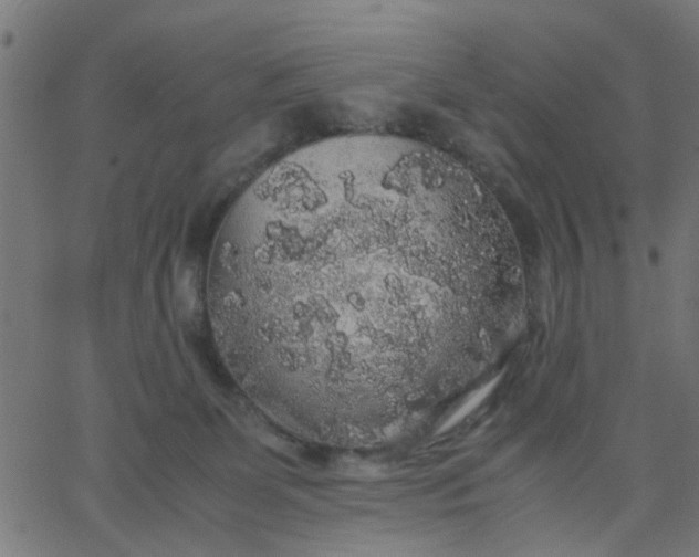 X0000067870131200604271745