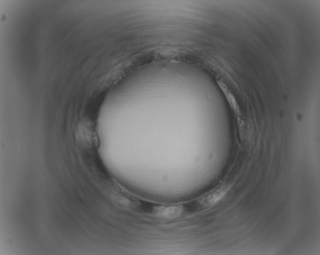 X0000067870135200604271745