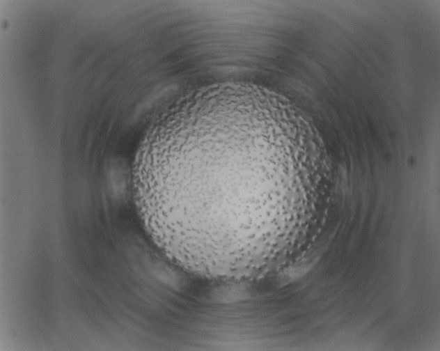 X0000067870138200604271745