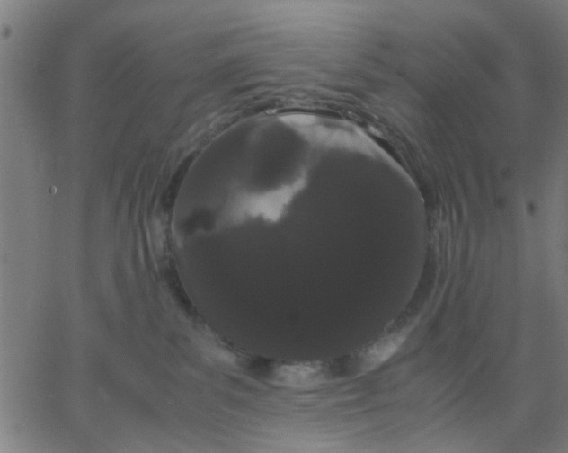 X0000067870139200604271745