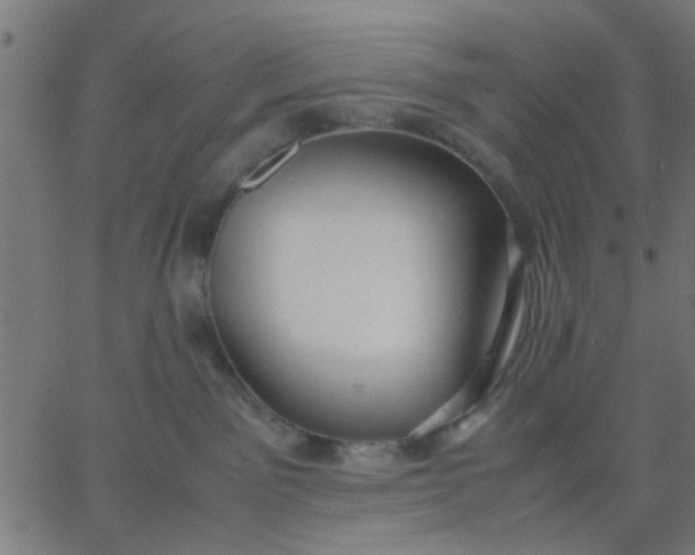 X0000067870141200604271745