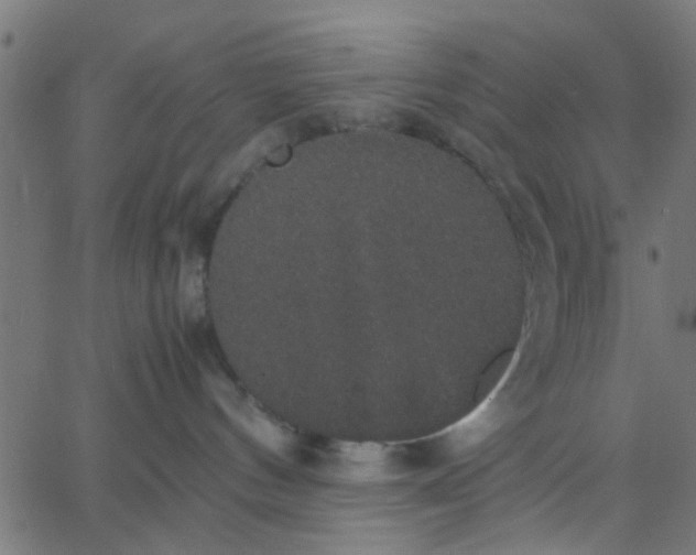 X0000067870144200604271745