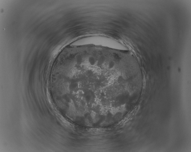 X0000067870145200604271744