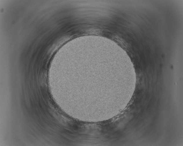 X0000067870146200604271744