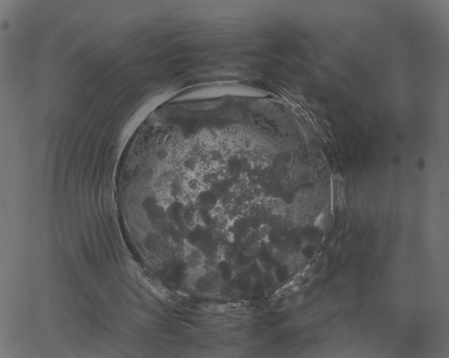 X0000067870147200604271744