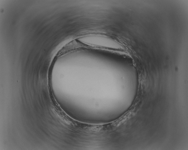 X0000067870148200604271744