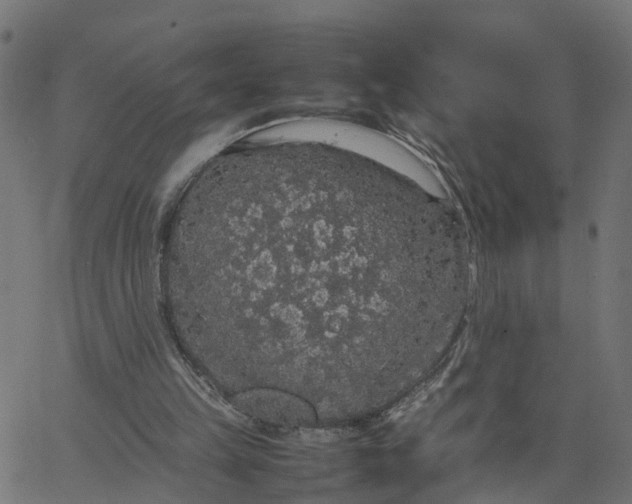 X0000067870149200604271744