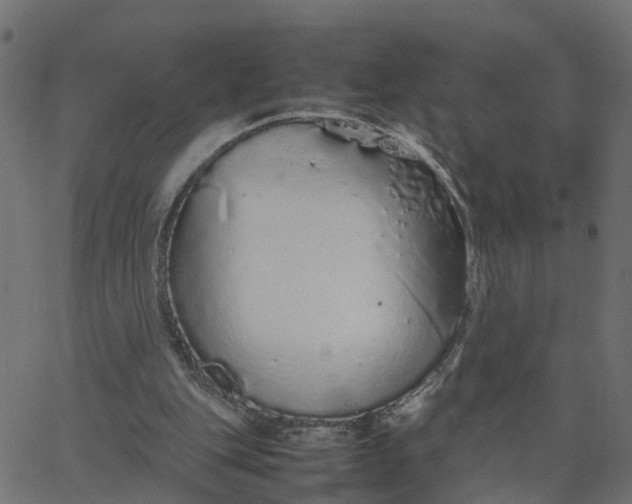 X0000067870151200604271744