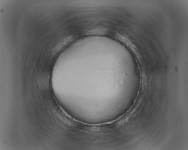 X0000067870153200604271744