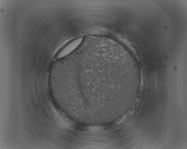 X0000067870154200604271744