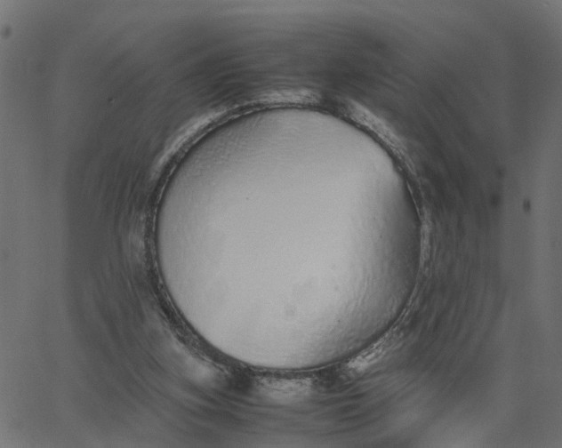 X0000067870155200604271744