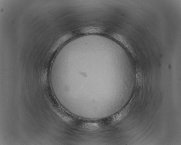 X0000067870159200604271744