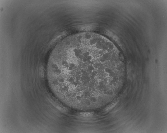 X0000067870161200604271745