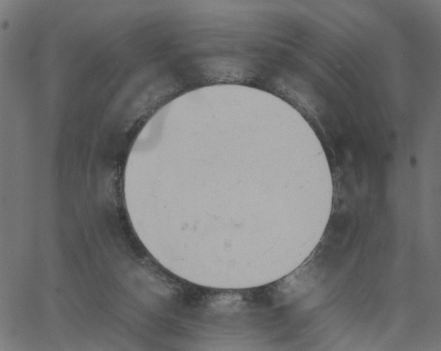 X0000067870162200604271745