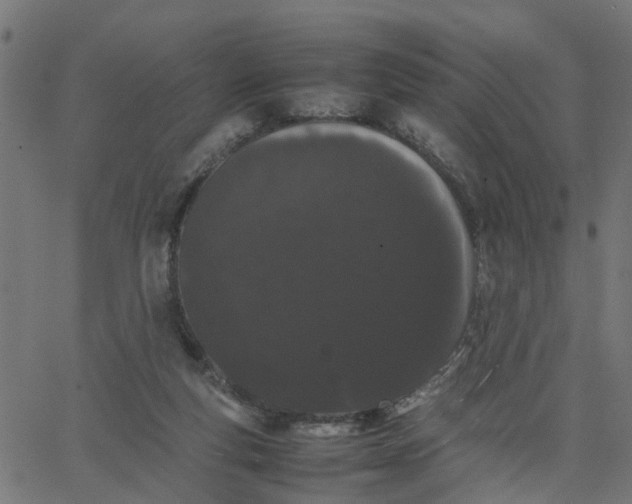 X0000067870163200604271745