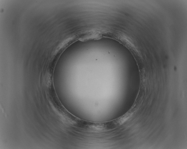 X0000067870164200604271745