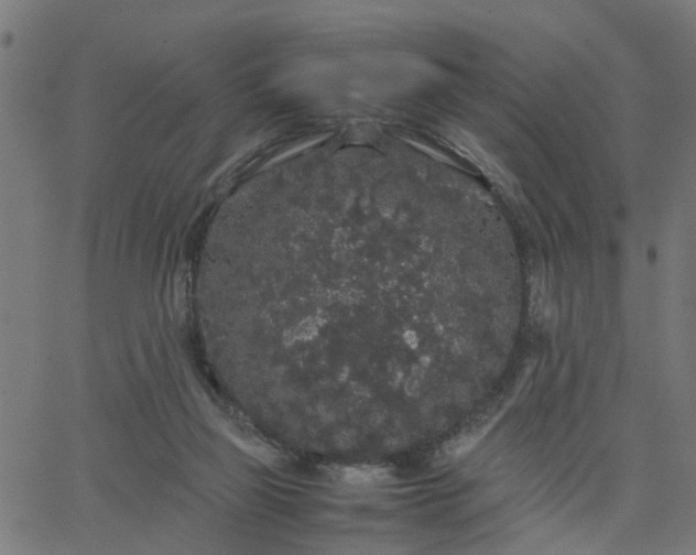 X0000067870165200604271745