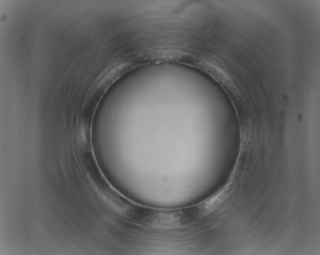 X0000067870166200604271745