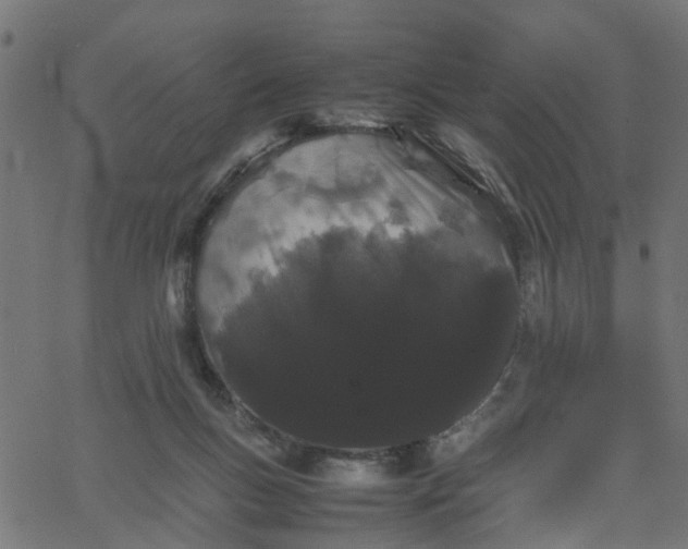 X0000067870167200604271745