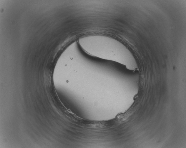 X0000067870168200604271745