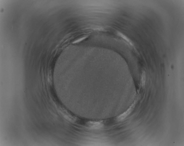 X0000067870170200604271745