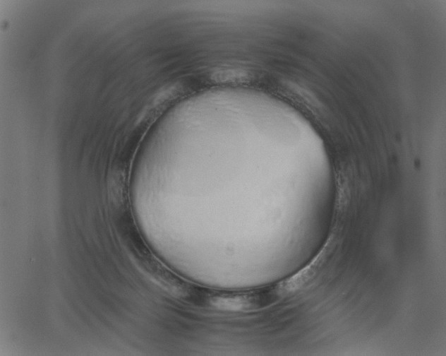 X0000067870171200604271745