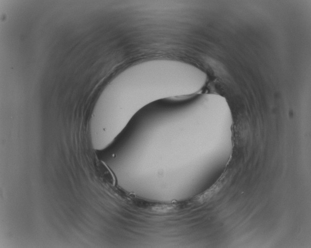 X0000067870172200604271745