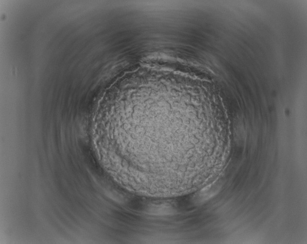 X0000067870175200604271745