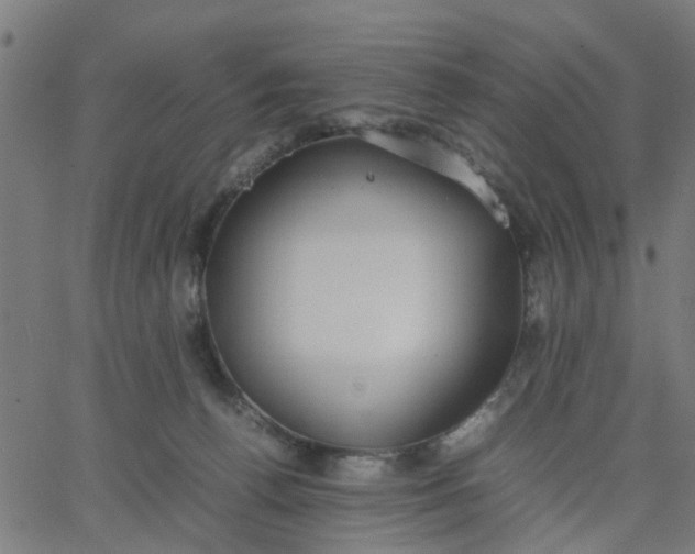 X0000067870176200604271745