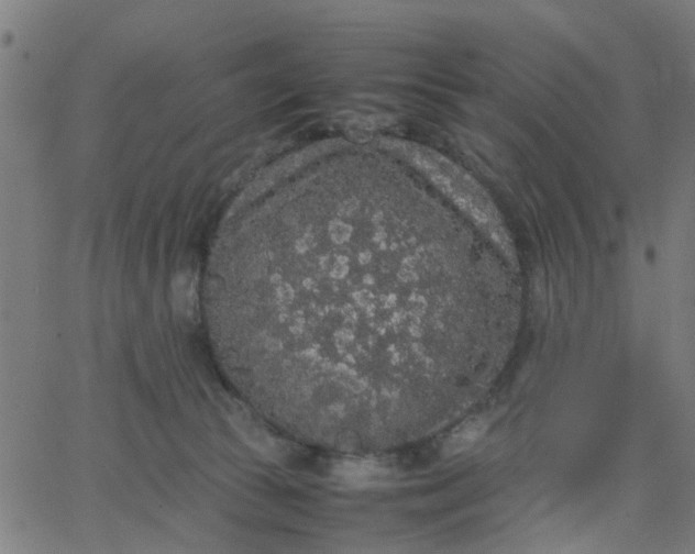 X0000067870177200604271745