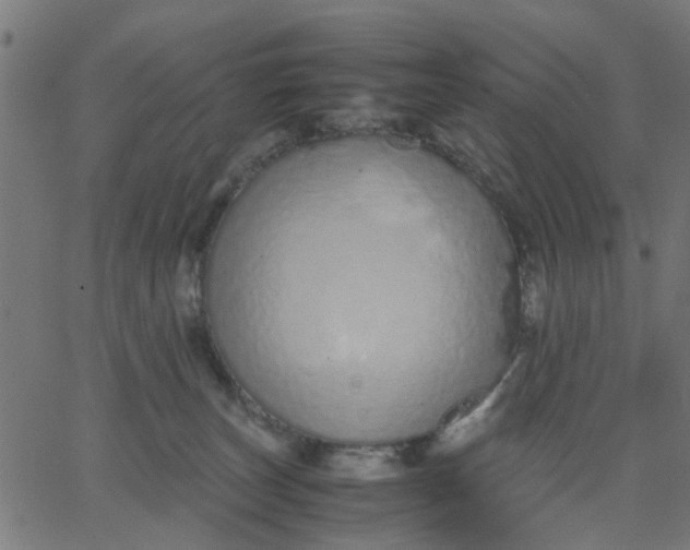 X0000067870179200604271745