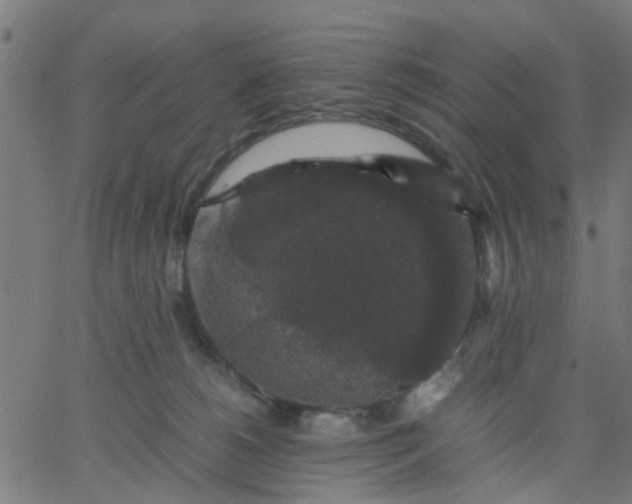 X0000067870180200604271745