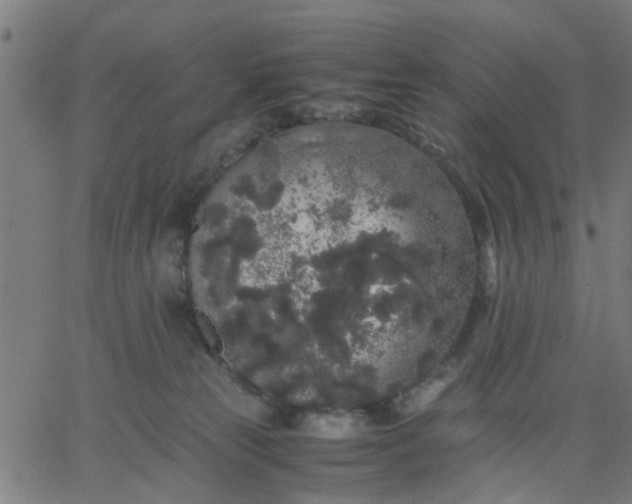 X0000067870181200604271745