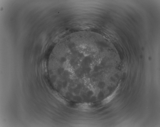 X0000067870182200604271745