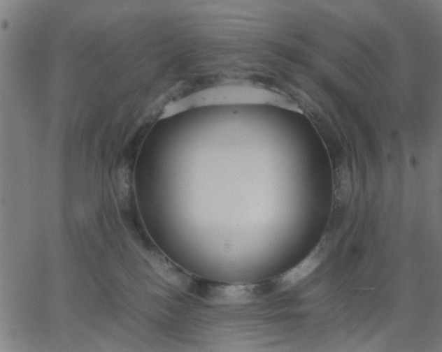 X0000067870184200604271745