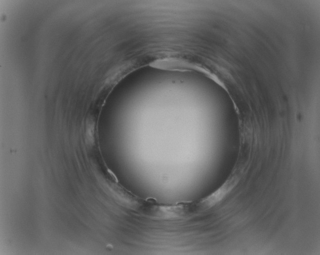 X0000067870188200604271745