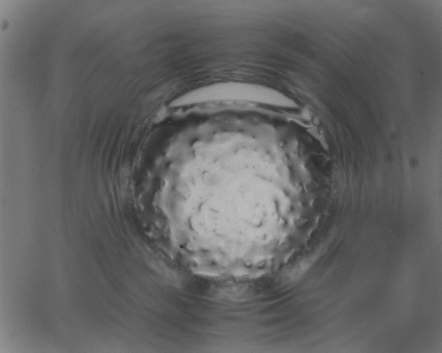 X0000067870189200604271745