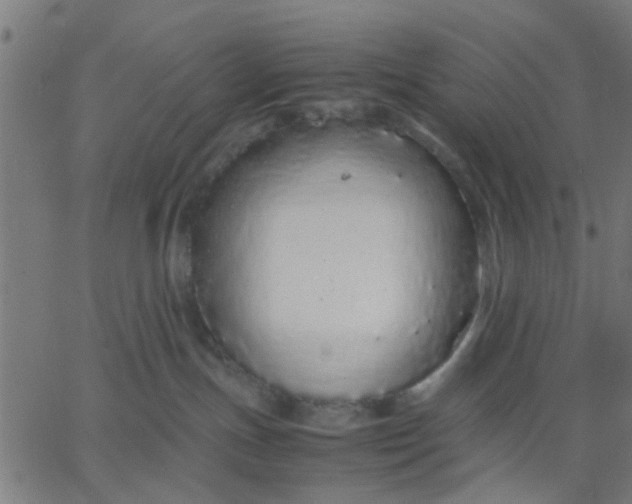 X0000067870191200604271745