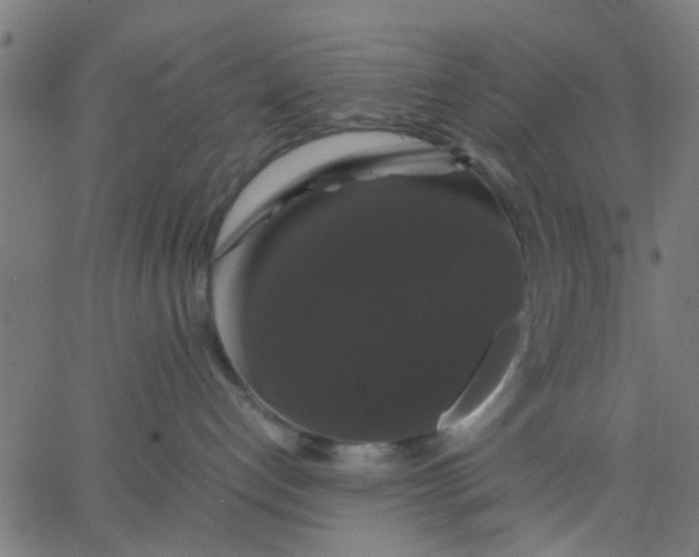 X0000067870192200604271745