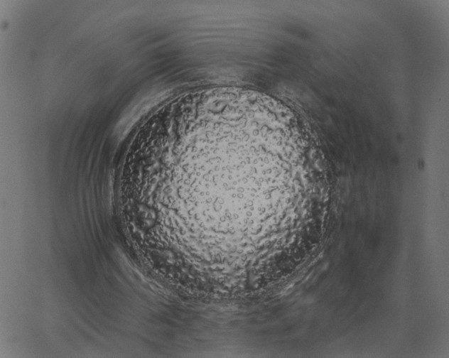 X0000067870194200604271744