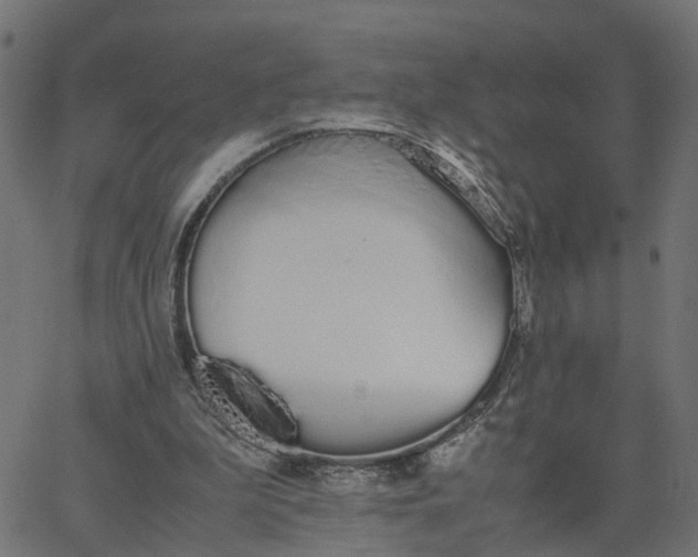 X0000067870199200604271744