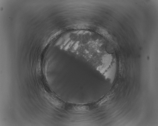 X0000067870202200604271744