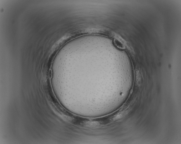 X0000067870203200604271744