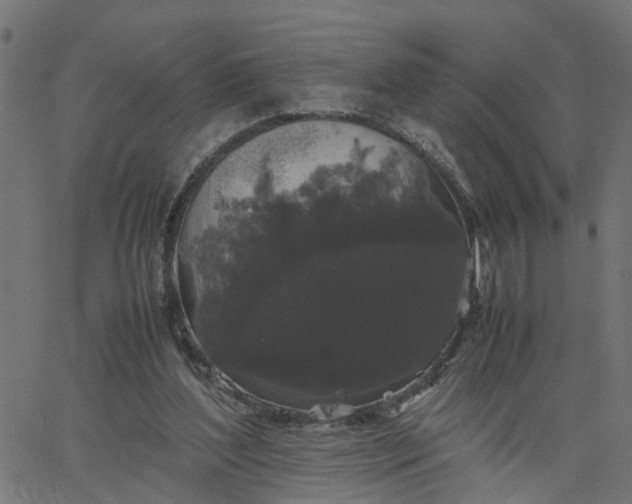 X0000067870204200604271744