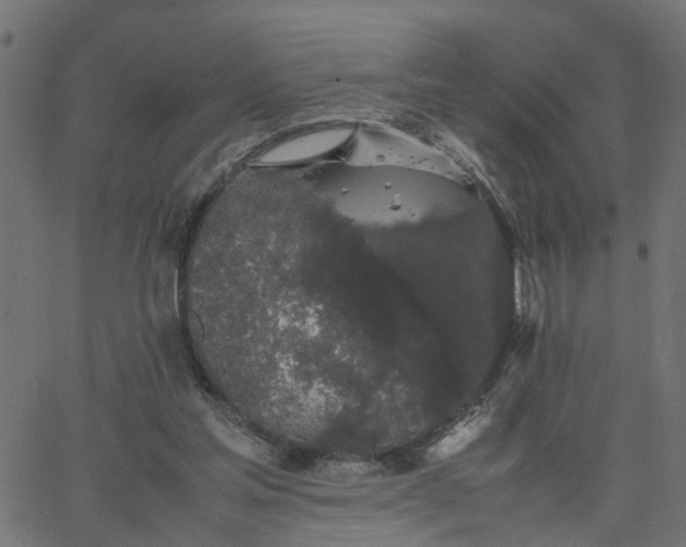 X0000067870205200604271744