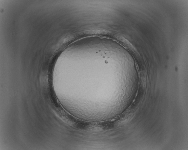 X0000067870207200604271744