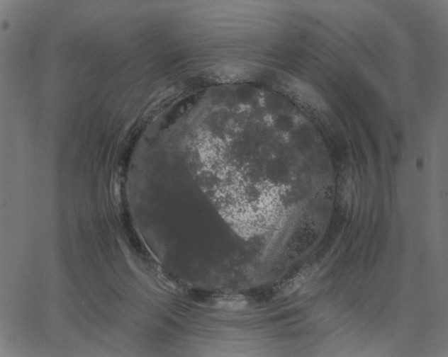 X0000067870214200604271744