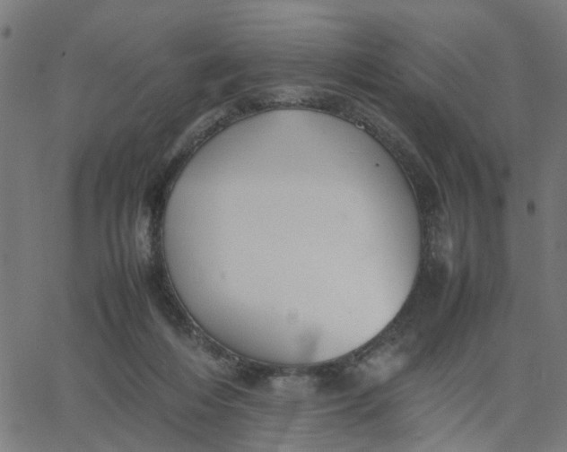 X0000067870216200604271744